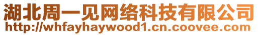 湖北周一見網絡科技有限公司