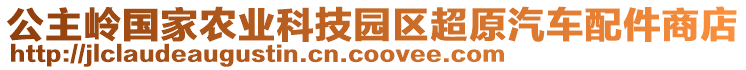 公主嶺國家農業(yè)科技園區(qū)超原汽車配件商店