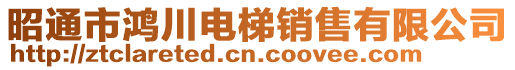 昭通市鴻川電梯銷售有限公司