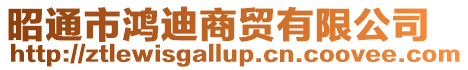 昭通市鴻迪商貿有限公司