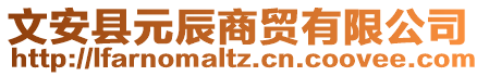 文安縣元辰商貿(mào)有限公司