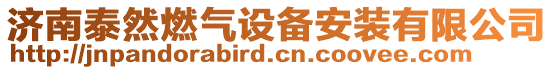 濟南泰然燃氣設備安裝有限公司