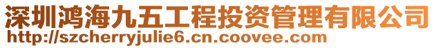 深圳鴻海九五工程投資管理有限公司