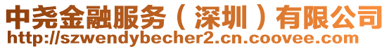 中堯金融服務(深圳)有限公司