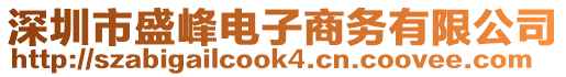 深圳市盛峰電子商務(wù)有限公司