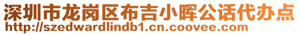 深圳市龍崗區(qū)布吉小暉公話代辦點