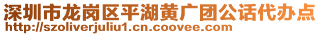 深圳市龍崗區(qū)平湖黃廣團公話代辦點