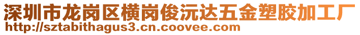 深圳市龍崗區(qū)橫崗俊沅達五金塑膠加工廠