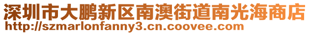 深圳市大鵬新區(qū)南澳街道南光海商店