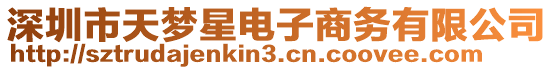 深圳市天夢星電子商務(wù)有限公司