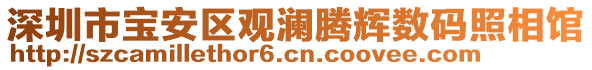 深圳市寶安區(qū)觀瀾騰輝數(shù)碼照相館