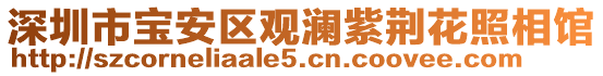 深圳市寶安區(qū)觀瀾紫荊花照相館