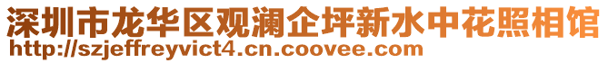 深圳市龍華區觀瀾企坪新水中花照相館