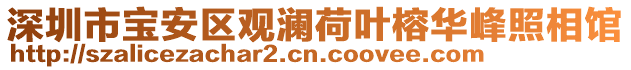 深圳市寶安區(qū)觀瀾荷葉榕華峰照相館