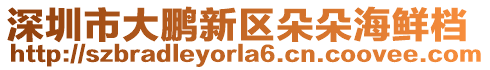 深圳市大鵬新區(qū)朵朵海鮮檔