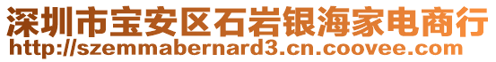 深圳市寶安區(qū)石巖銀海家電商行