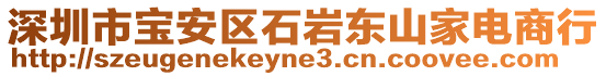 深圳市寶安區(qū)石巖東山家電商行