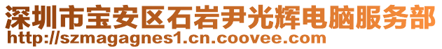 深圳市寶安區(qū)石巖尹光輝電腦服務(wù)部