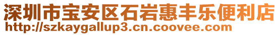 深圳市寶安區(qū)石巖惠豐樂便利店