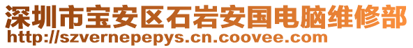 深圳市寶安區石巖安國電腦維修部