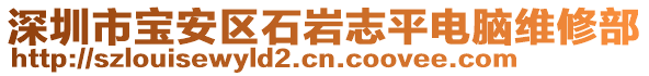 深圳市寶安區(qū)石巖志平電腦維修部