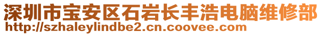 深圳市寶安區(qū)石巖長豐浩電腦維修部