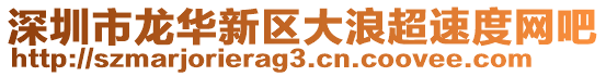 深圳市龍華新區(qū)大浪超速度網(wǎng)吧