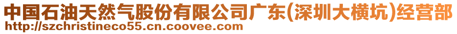 中國(guó)石油天然氣股份有限公司廣東(深圳大橫坑)經(jīng)營(yíng)部