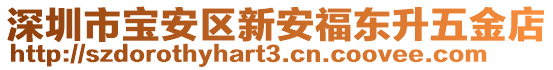 深圳市寶安區(qū)新安福東升五金店