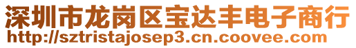 深圳市龍崗區(qū)寶達豐電子商行