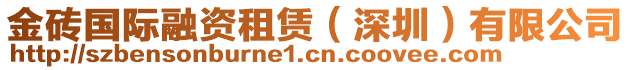 金磚國際融資租賃(深圳)有限公司