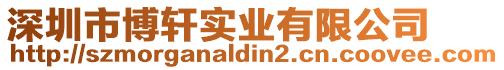 深圳市博軒實業有限公司