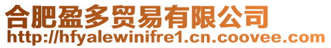 合肥盈多貿(mào)易有限公司