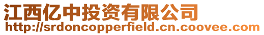 江西億中投資有限公司