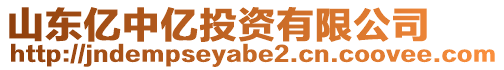 山東億中億投資有限公司
