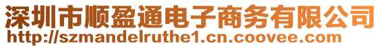 深圳市順盈通電子商務(wù)有限公司