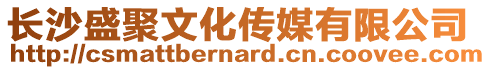 長(zhǎng)沙盛聚文化傳媒有限公司