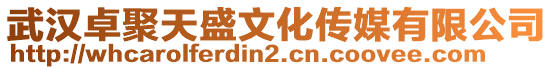 武漢卓聚天盛文化傳媒有限公司
