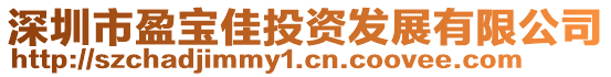 深圳市盈寶佳投資發展有限公司