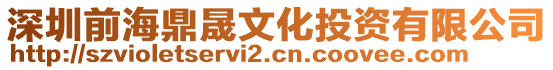 深圳前海鼎晟文化投資有限公司