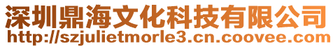 深圳鼎海文化科技有限公司