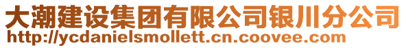 大潮建設集團有限公司銀川分公司