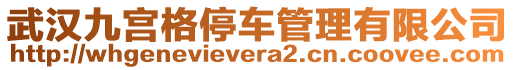 武漢九宮格停車管理有限公司
