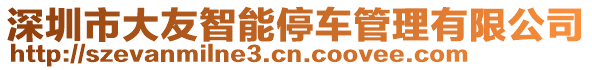 深圳市大友智能停車管理有限公司
