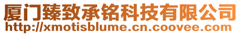 廈門臻致承銘科技有限公司