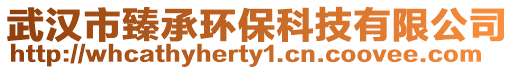 武漢市臻承環保科技有限公司