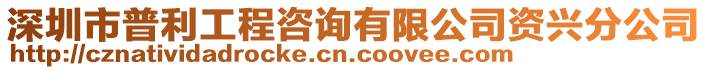 深圳市普利工程咨詢有限公司資興分公司