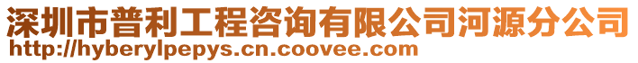 深圳市普利工程咨詢有限公司河源分公司
