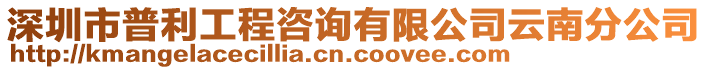 深圳市普利工程咨詢有限公司云南分公司