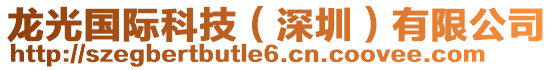 龍光國(guó)際科技(深圳)有限公司